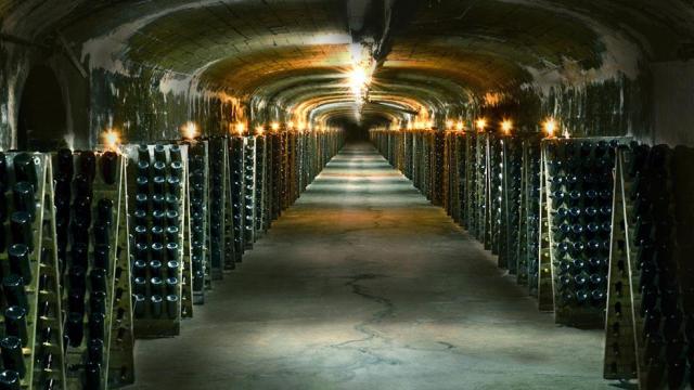 Bodega Santa Rosa