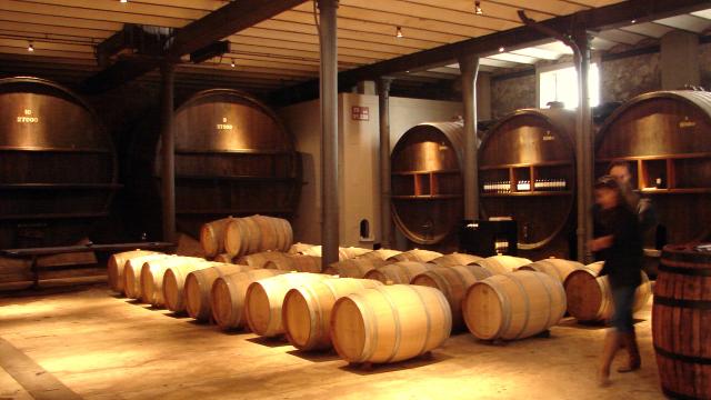 Bodega Spinoglio