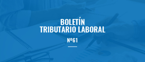 boletín numero 61